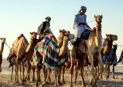 Camel Racing in Doha